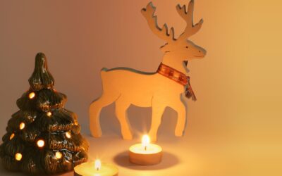 PROYECTOS NAVIDEÑOS PARA TU CASA Y NEGOCIO
